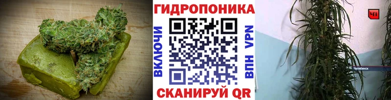 купить наркоту  Купино  Печенье с ТГК конопля 