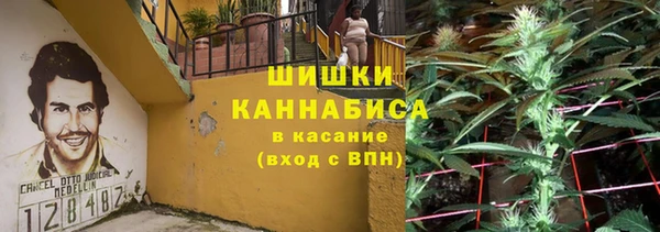 ГАЛЛЮЦИНОГЕННЫЕ ГРИБЫ Новокубанск