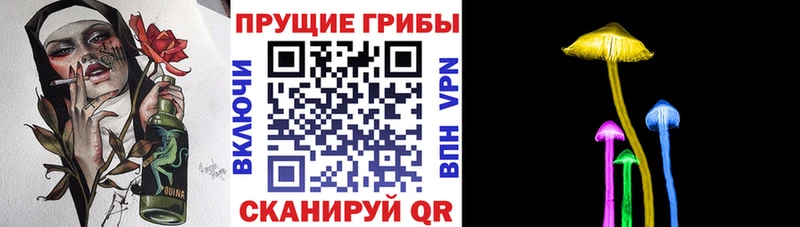 Галлюциногенные грибы Magic Shrooms  Купино 
