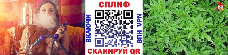 OMG ТОР  где продают   Купино  Шишки марихуана White Widow 